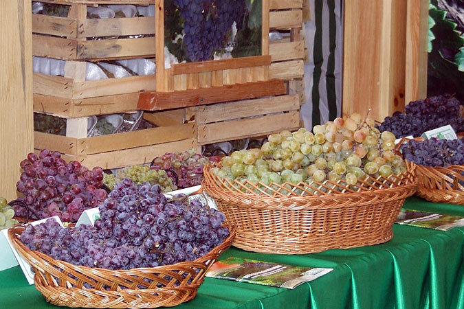 Россельхознадзор разрешит Молдавии поставлять более широкий ассортимент фруктов