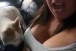 "Милый" котик искусал хозяйку, пока она снимала про него видео