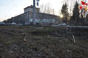 От урагана в Новосибирской области пострадали две девушки: на них упали деревья