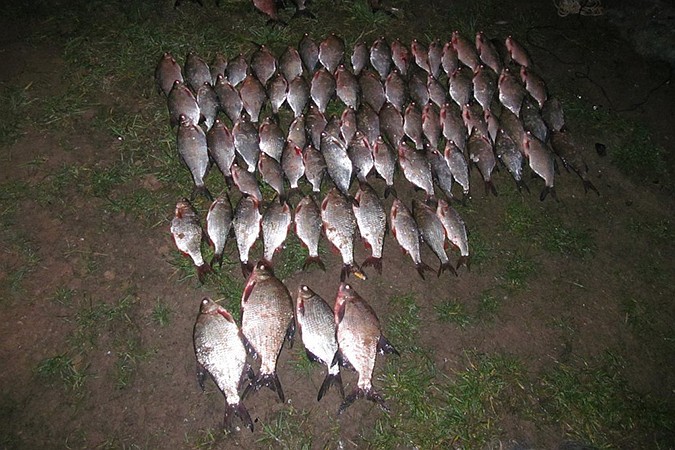  ������������ ����� ���������� ������� 