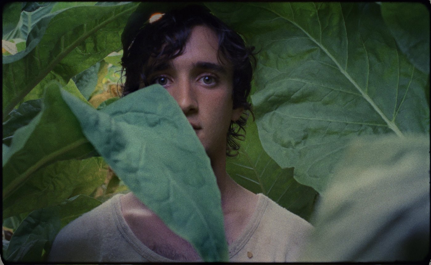 Lazzaro Lazzaro