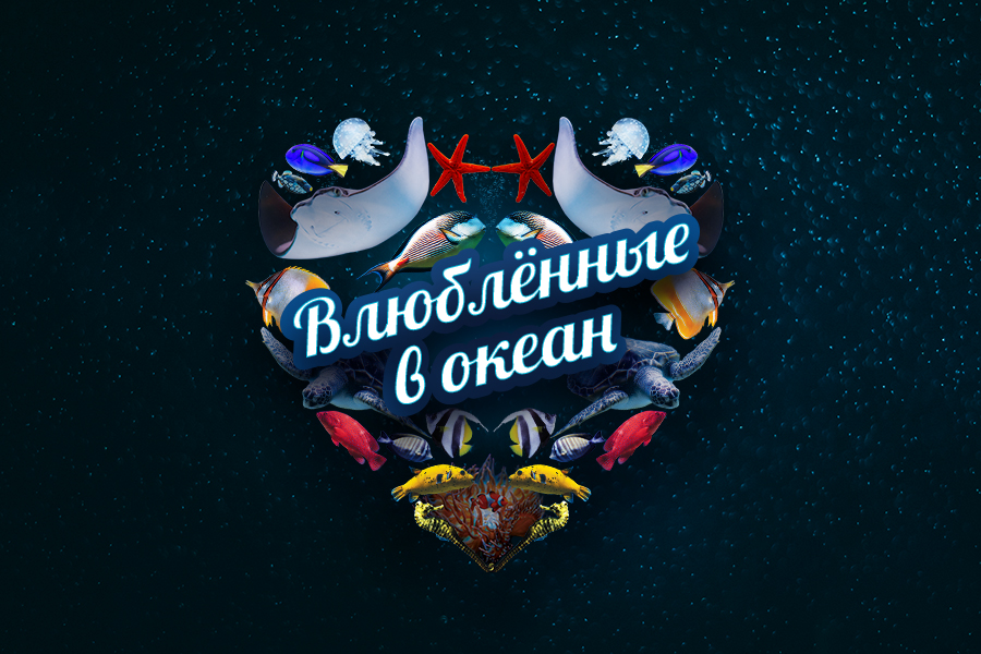900kh600_vlyublennye_v_okean 900kh600_vlyublennye_v_okean