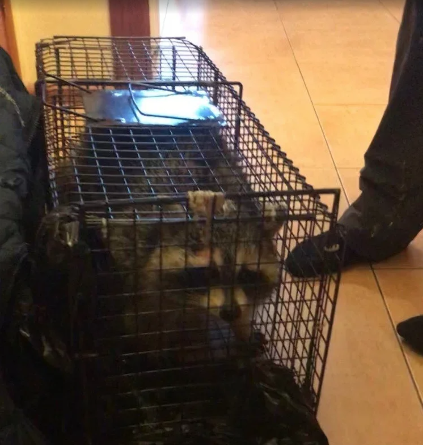 Уникальный случай