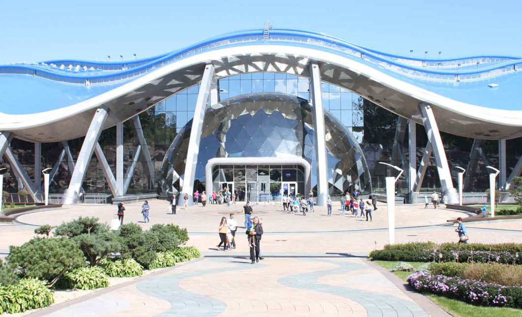 Приморский океанариум во Владивостоке: фото, цены, отзывы, как добраться