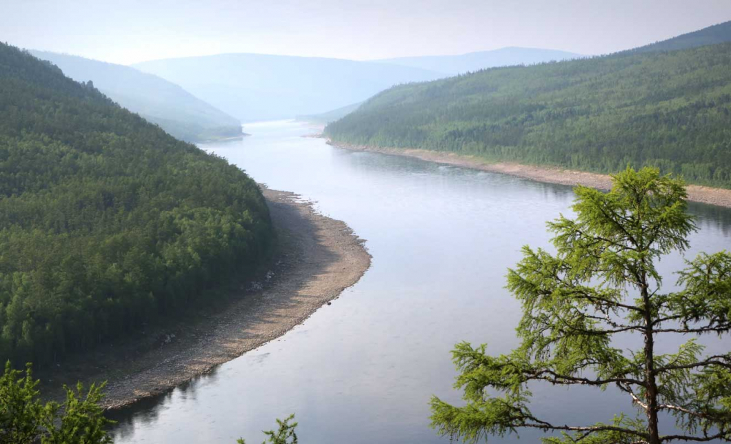 Тайга амур река