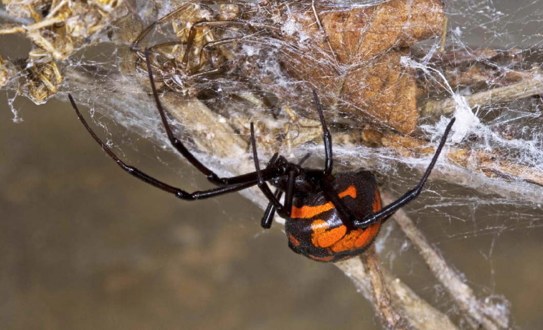 Что это значит для жителей и экологии окружающей территории