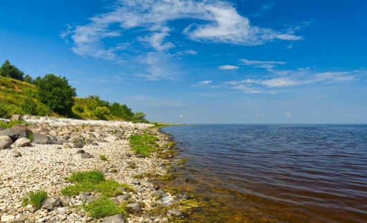 Озеро Великое в Новгородской области - рыболовные характеристики и лучшие места для рыбалки