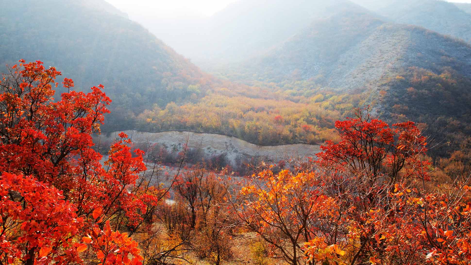 Где в России самая красивая осень: топ-10 лучших мест с фото