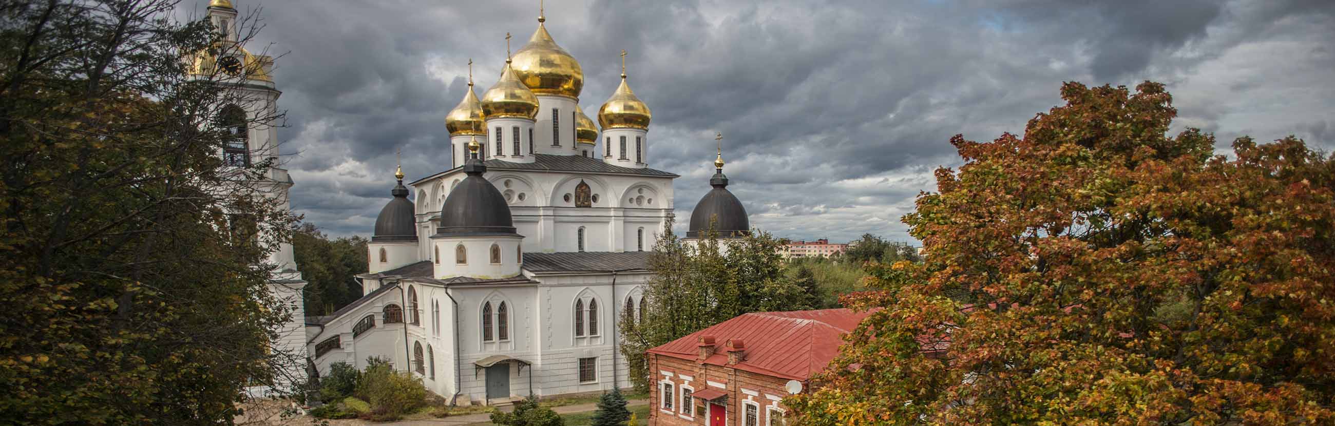 Лиссабон куда пойти с ребенком. Дмитровский кремль (музей-заповедник). Куда сходить м ребенком в дмитрове. Московский океанариум в тц рио. Парк березовая роща дмитров.