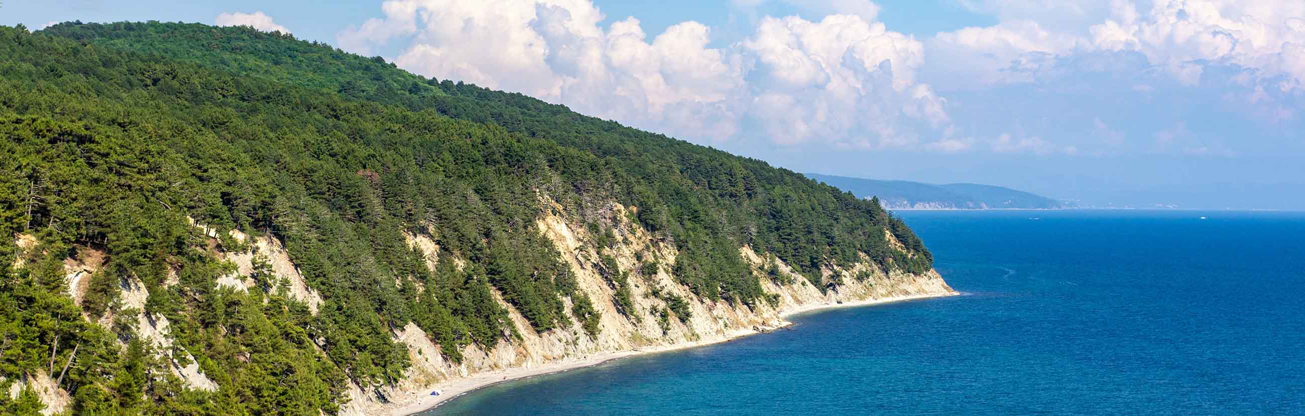 Бетта Краснодарский Край Отдых Фото