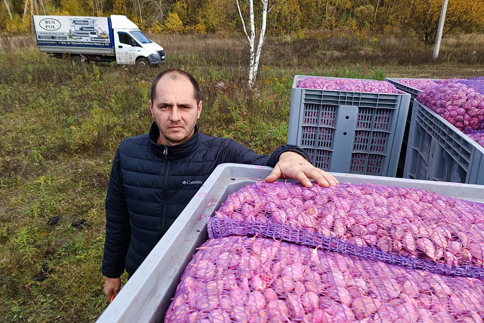 Разговор по чесноку: почему наши прилавки завалены импортным чесноком, а фермеры не хотят его сажать