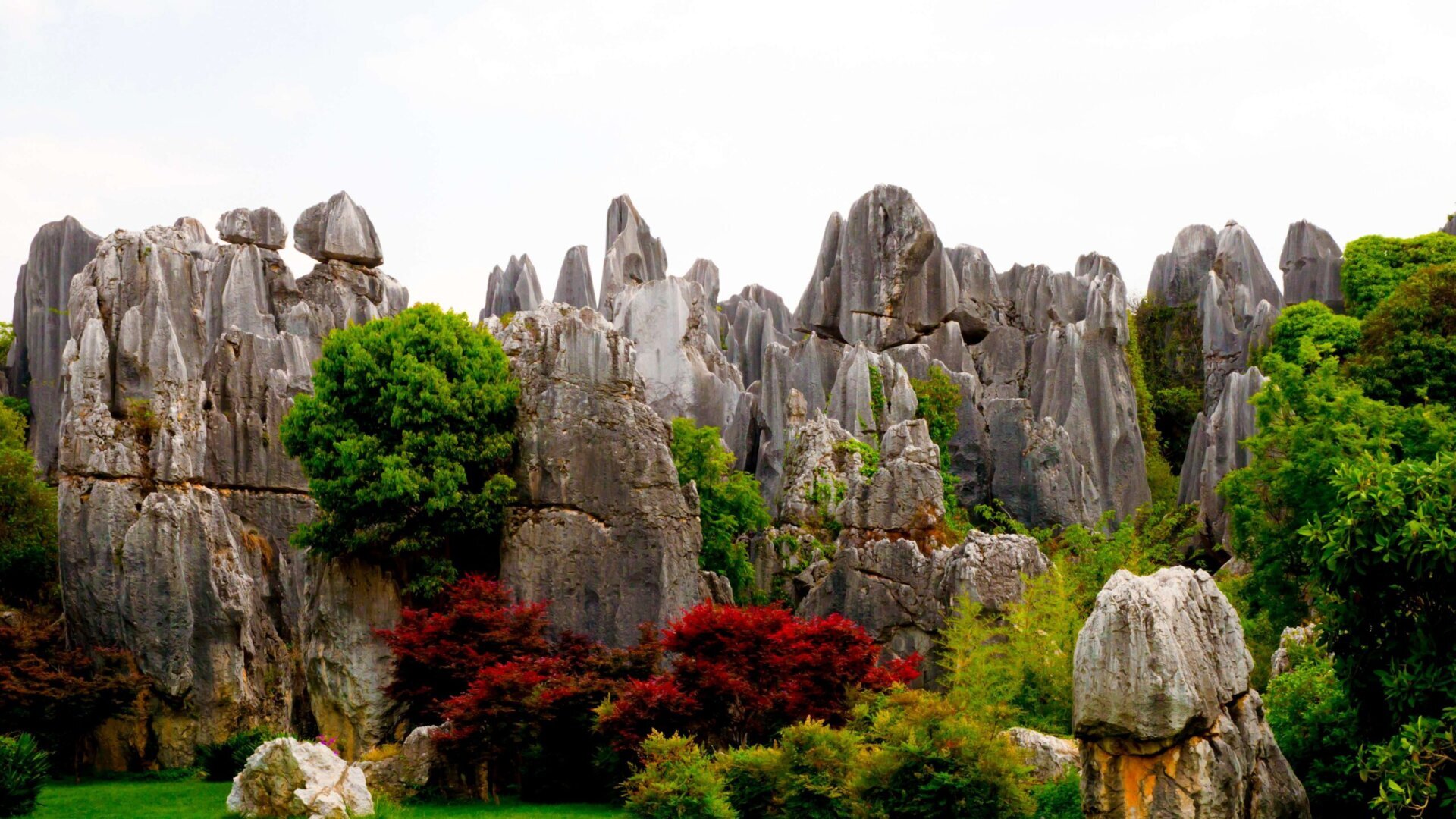 Каменный лес в провинции Юньнань. 