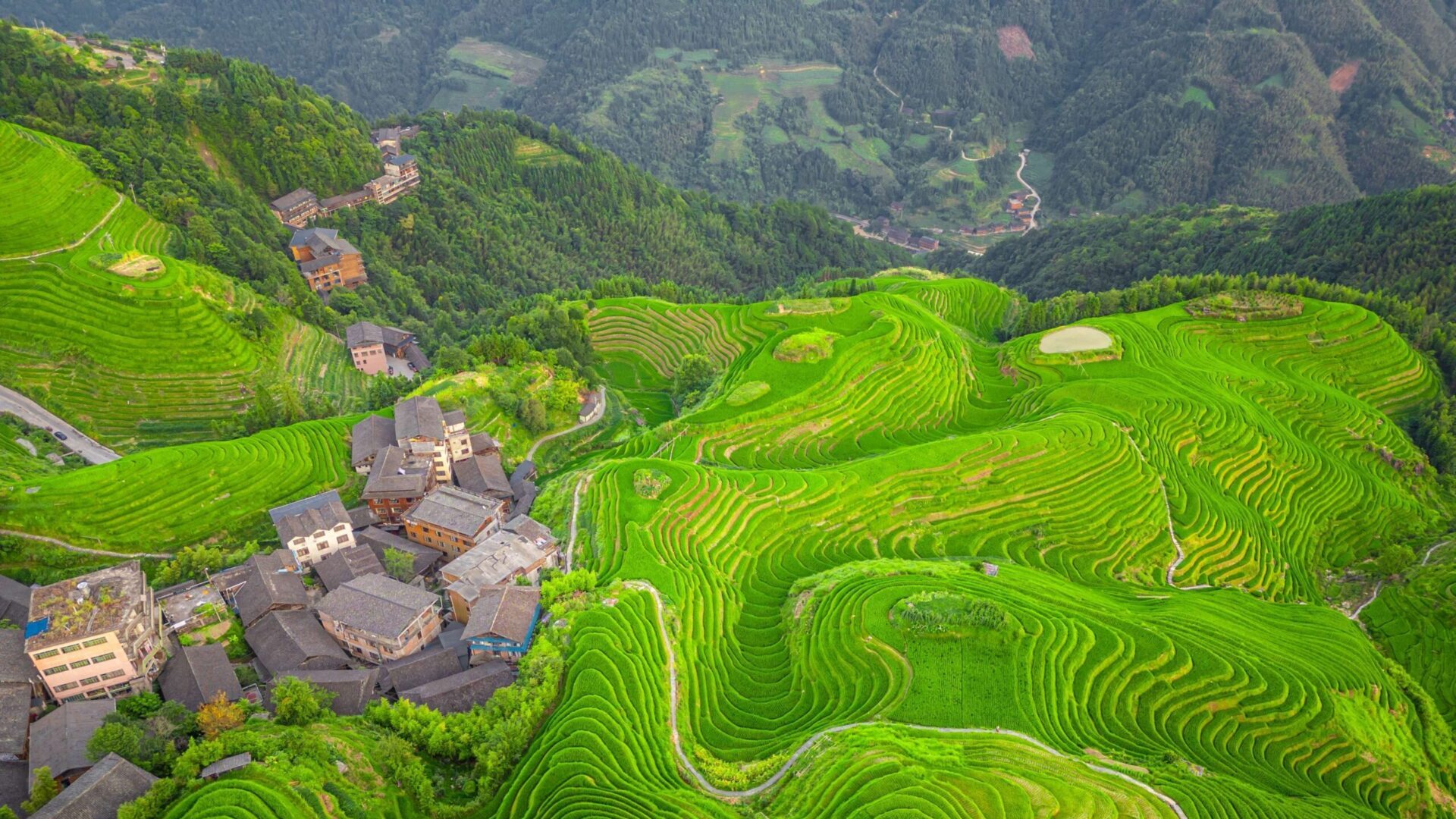 Рисовые террасы Лунцзи в Луншэне.