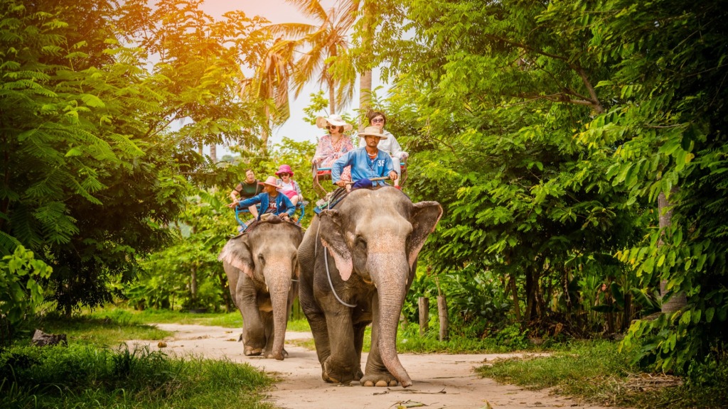 Деревня слонов, Паттайя.