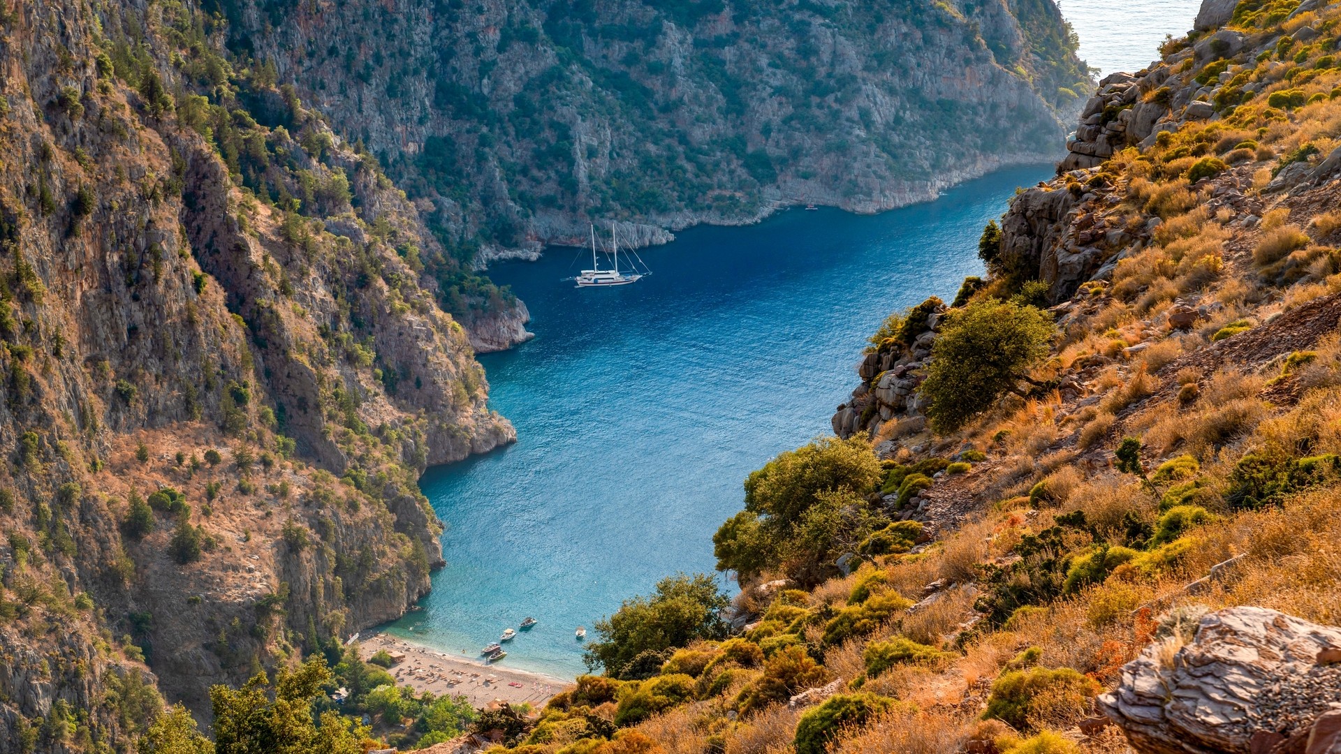 Долина бабочек.