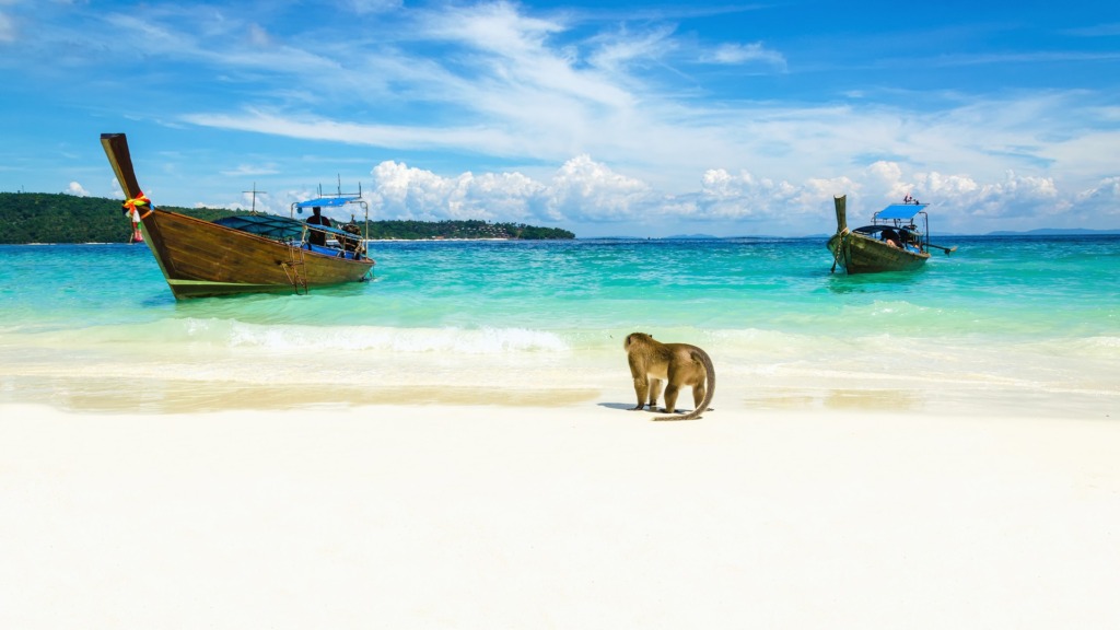 Обезьяний пляж, остров Пхи-Пхи-Дон.