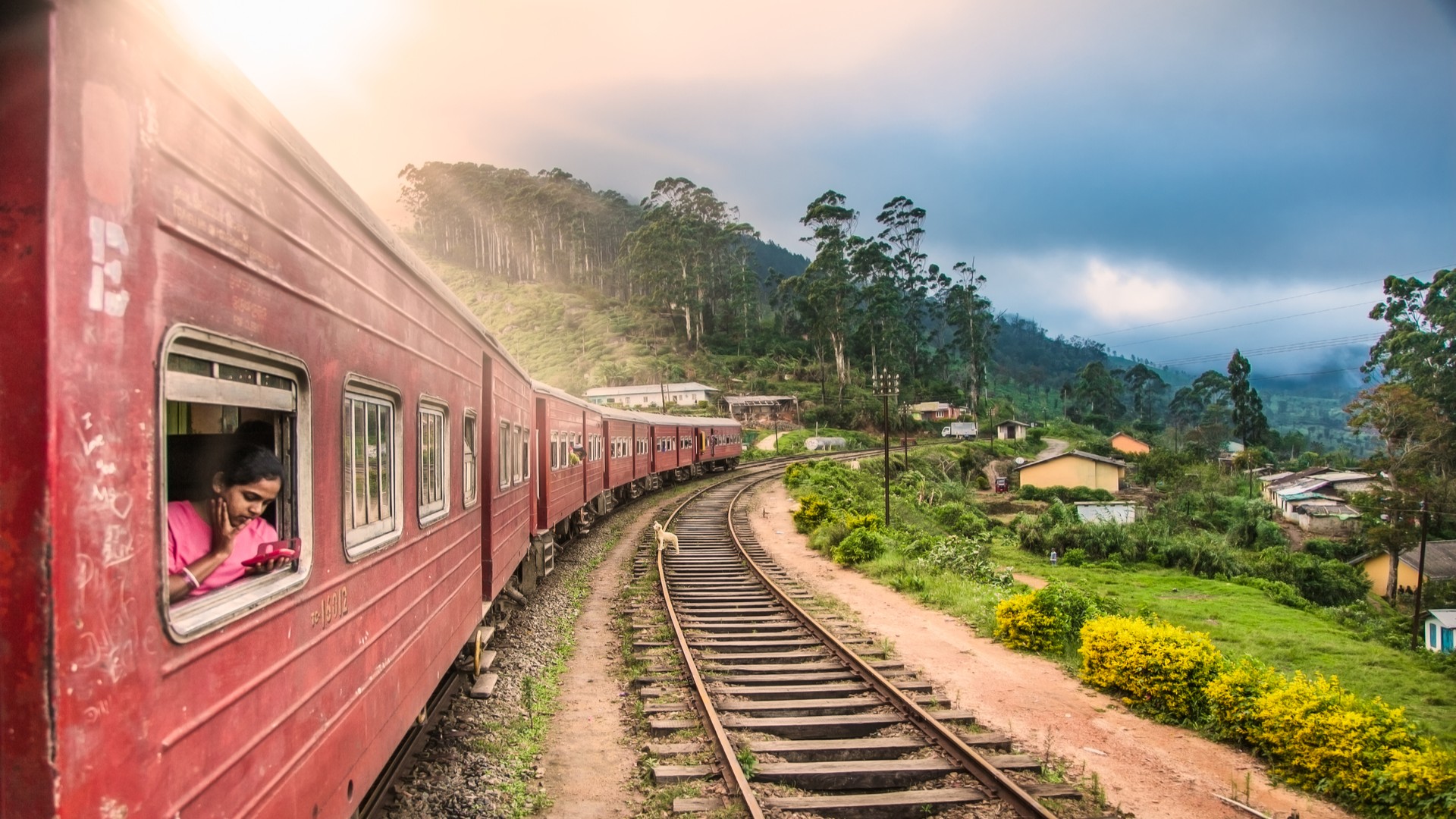 Поезд проезжает через чайную плантацию в районе Нувара-Элия.