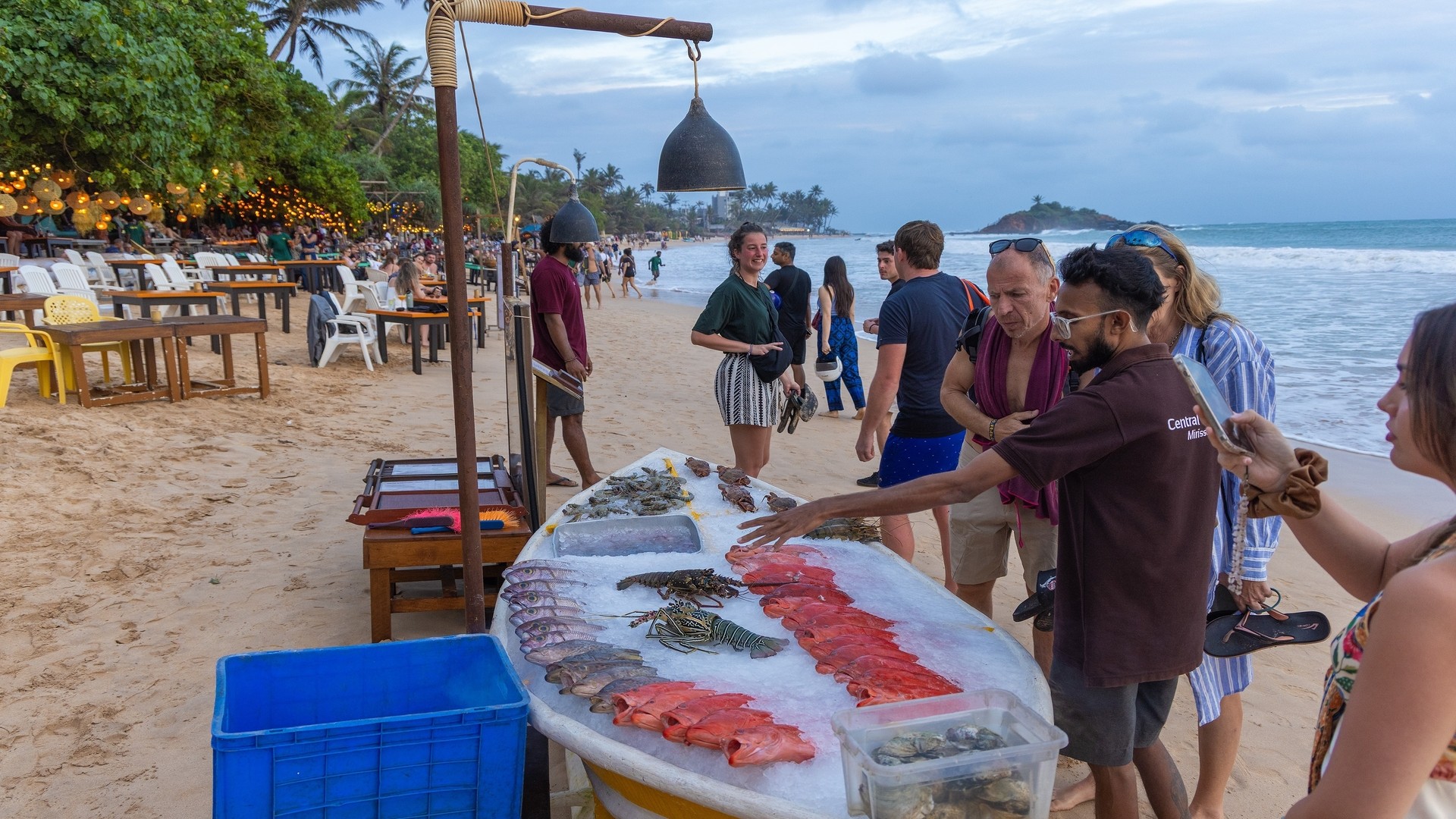 Выставка свежих морепродуктов, Шри-Ланка.