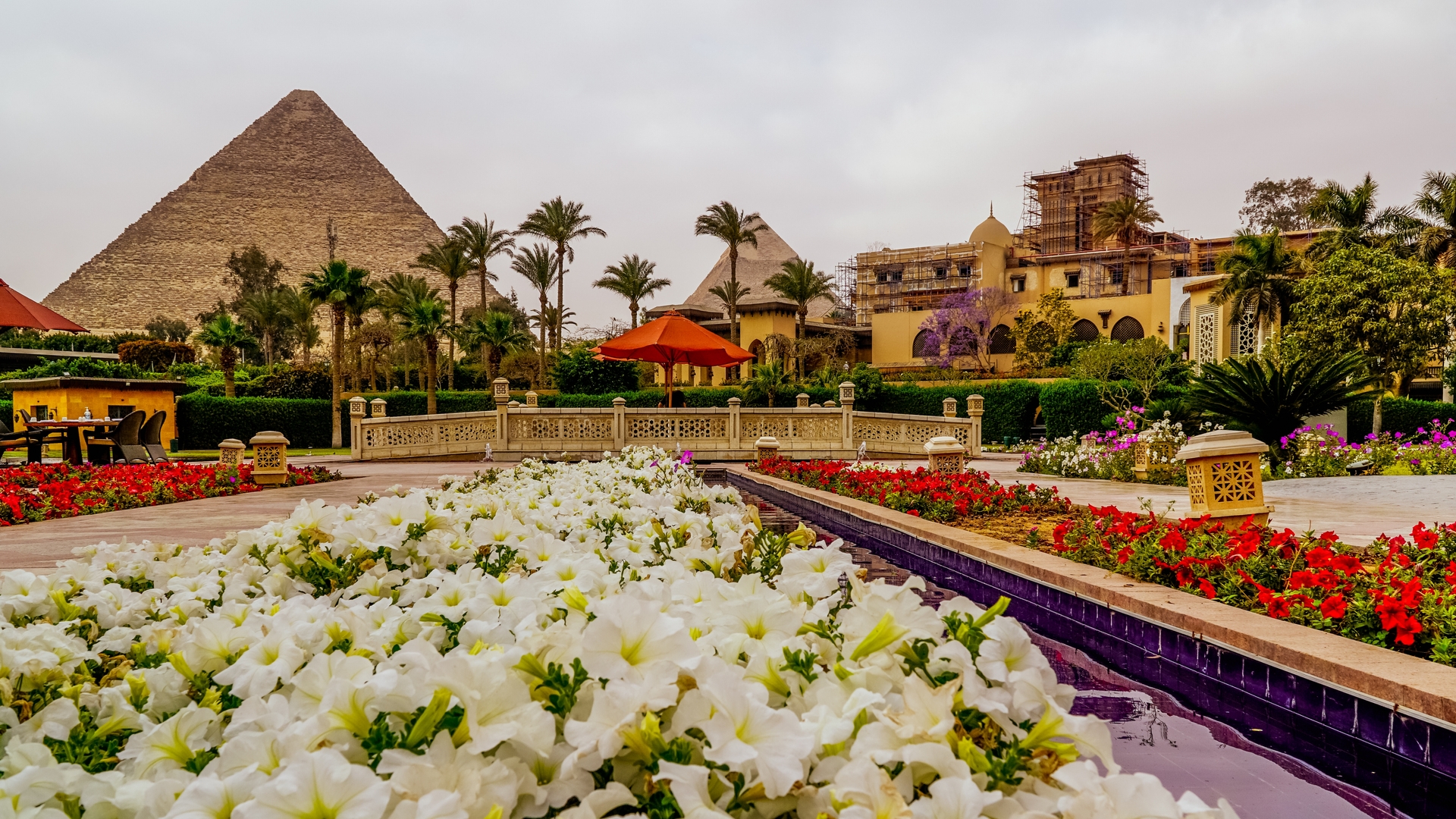 Вид на пирамиды Гизы из сада у бассейна отеля Marriott Mena House Cairo.