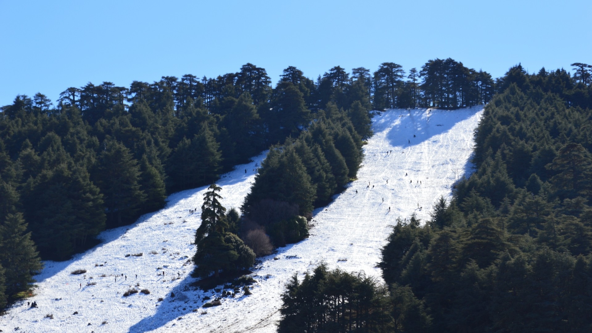 Горнолыжный курорт Мишлифен.