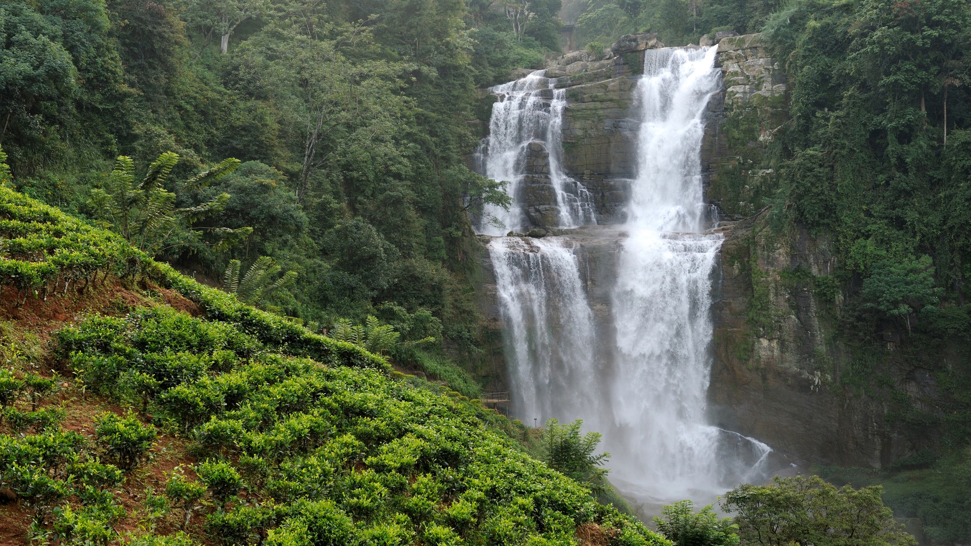 Живописный водопад Рамбода, Шри-Ланка.
