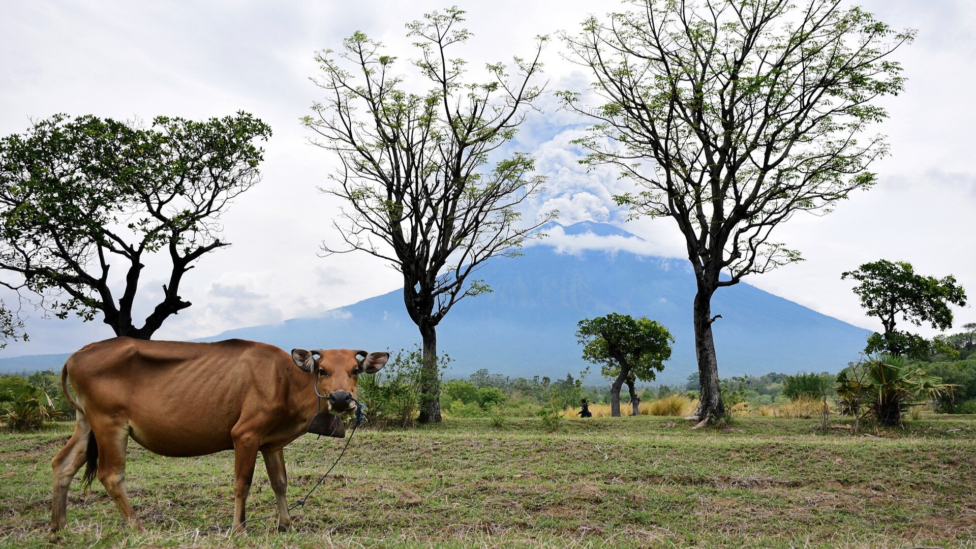 Вид на гору Агунг из деревни Мунтиг, Карангасем, Бали.