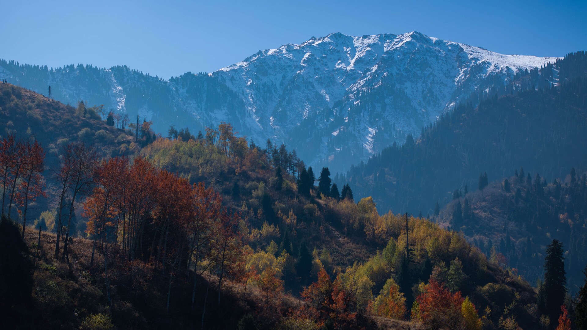 Горы на окраине Алматы, Казахстан.