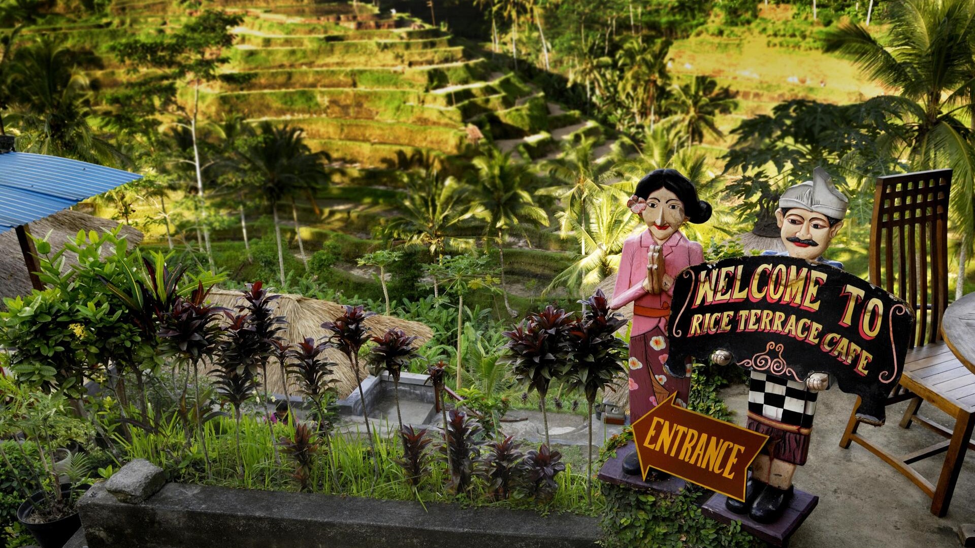 Кафе с видом на рисовые террасы, Бали.