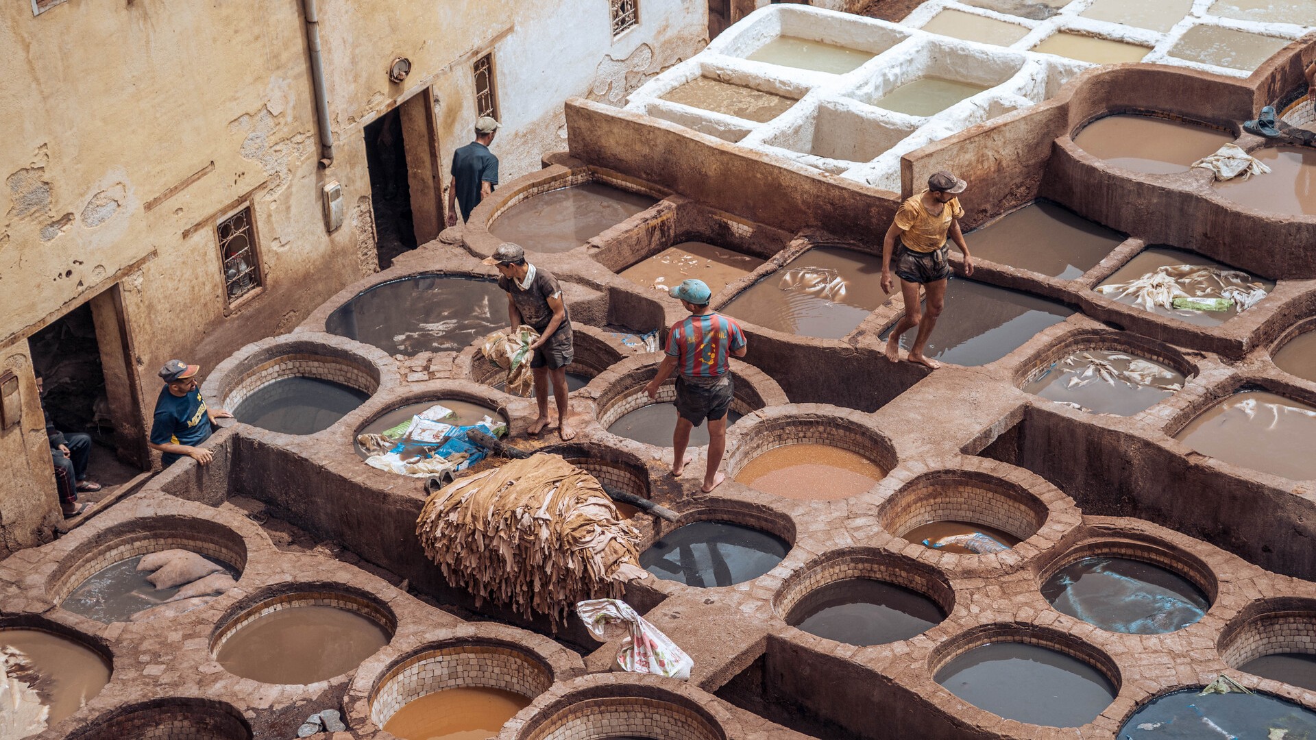 Кожевенные мастерские Шуара, Фес.