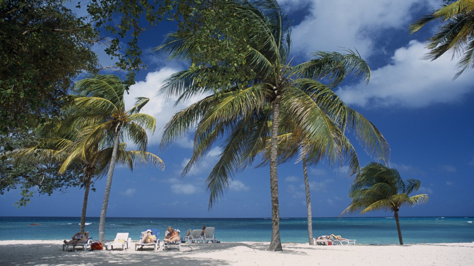 Пляж Гуардалевака с загорающими среди пальм, Ольгин.