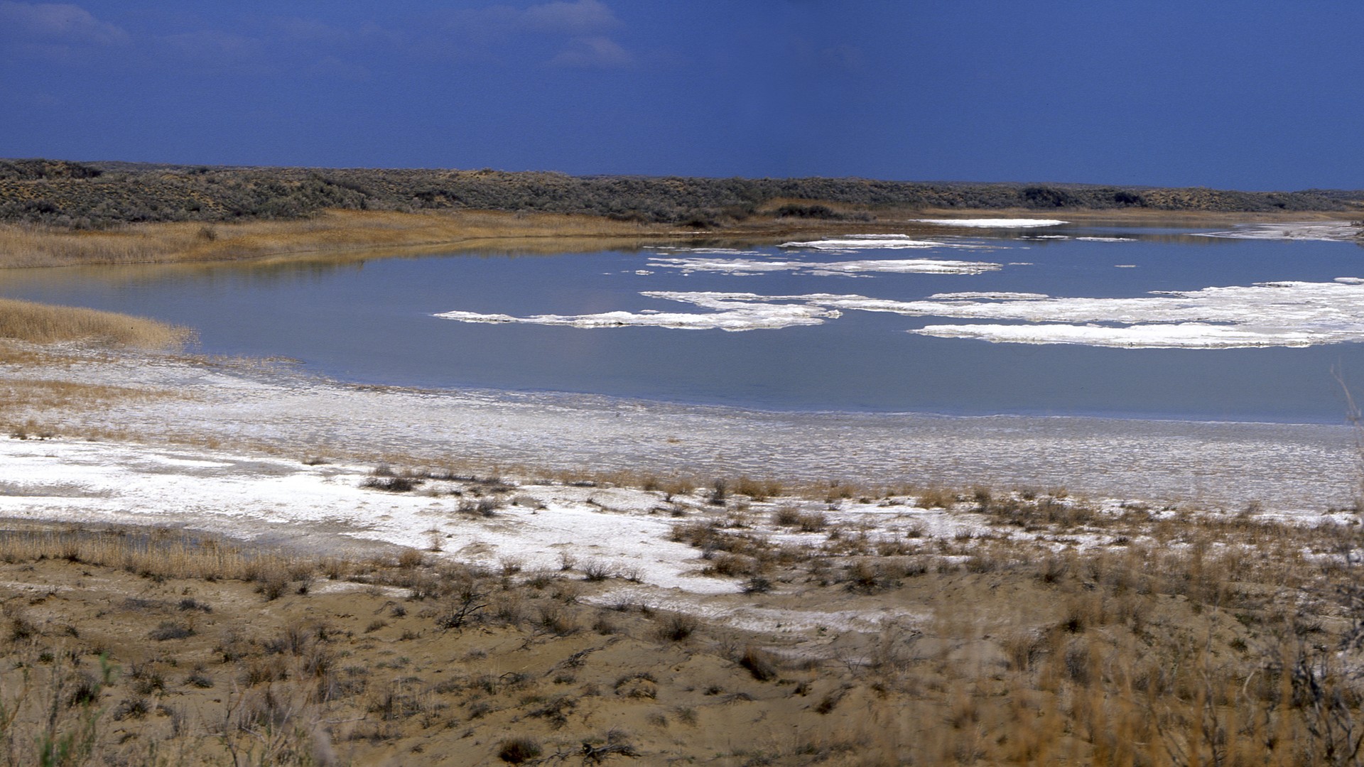 Озеро Балхаш, Казахстан.
