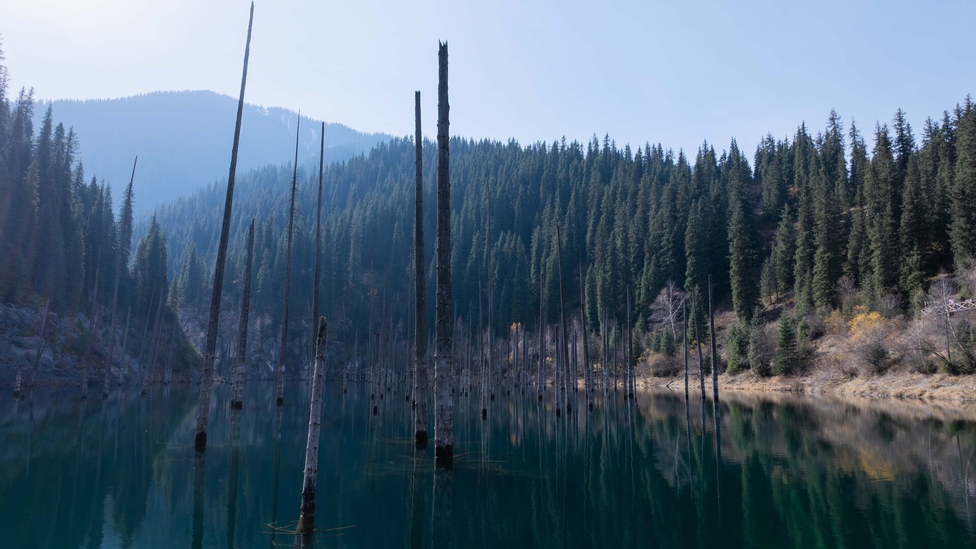 Перевернутые леса озера Каинды в Алматинской области.