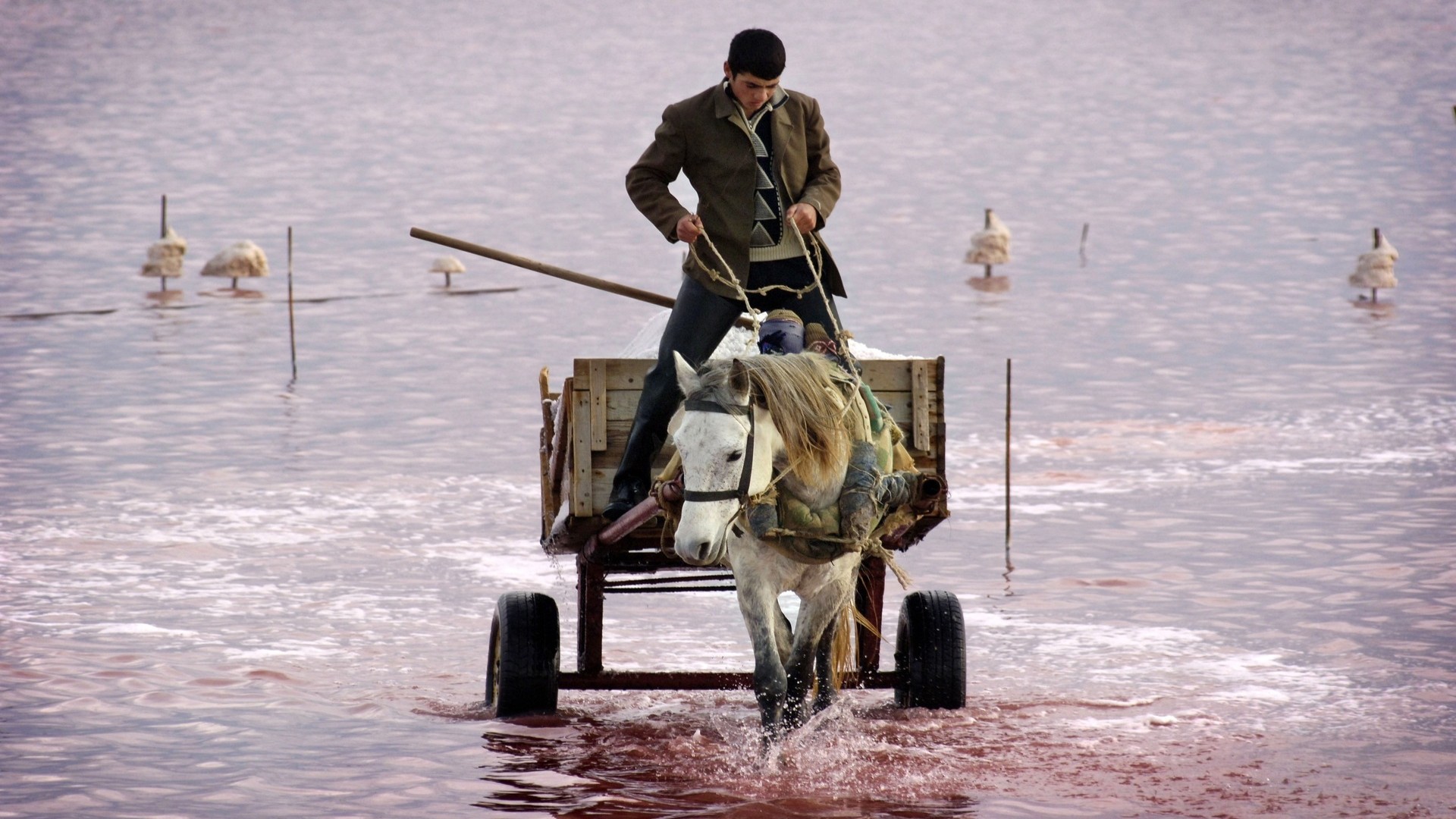 Рабочий везет соль из озера Масазыр на двухколесной тележке.